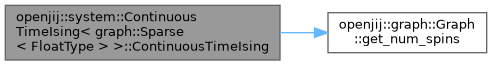 openjij: openjij::system::ContinuousTimeIsing Struct Template Reference